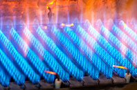 Lintz gas fired boilers